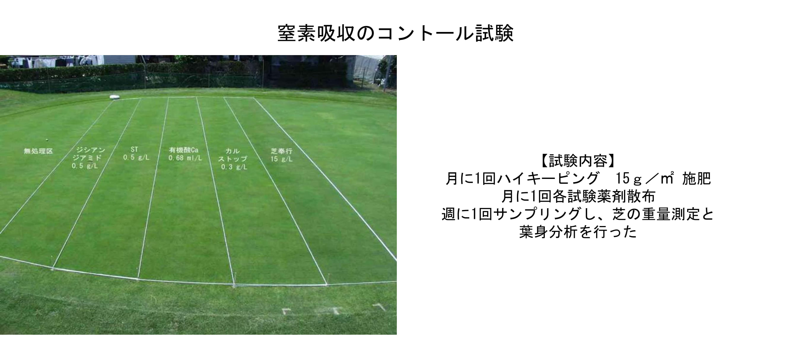 ベントグラスの夏越しを良くするためには？