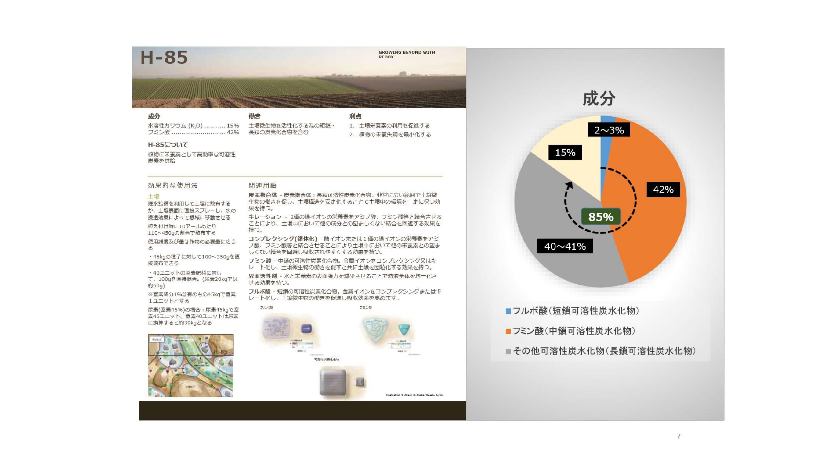 ベントグラスの夏越しを良くするためには？