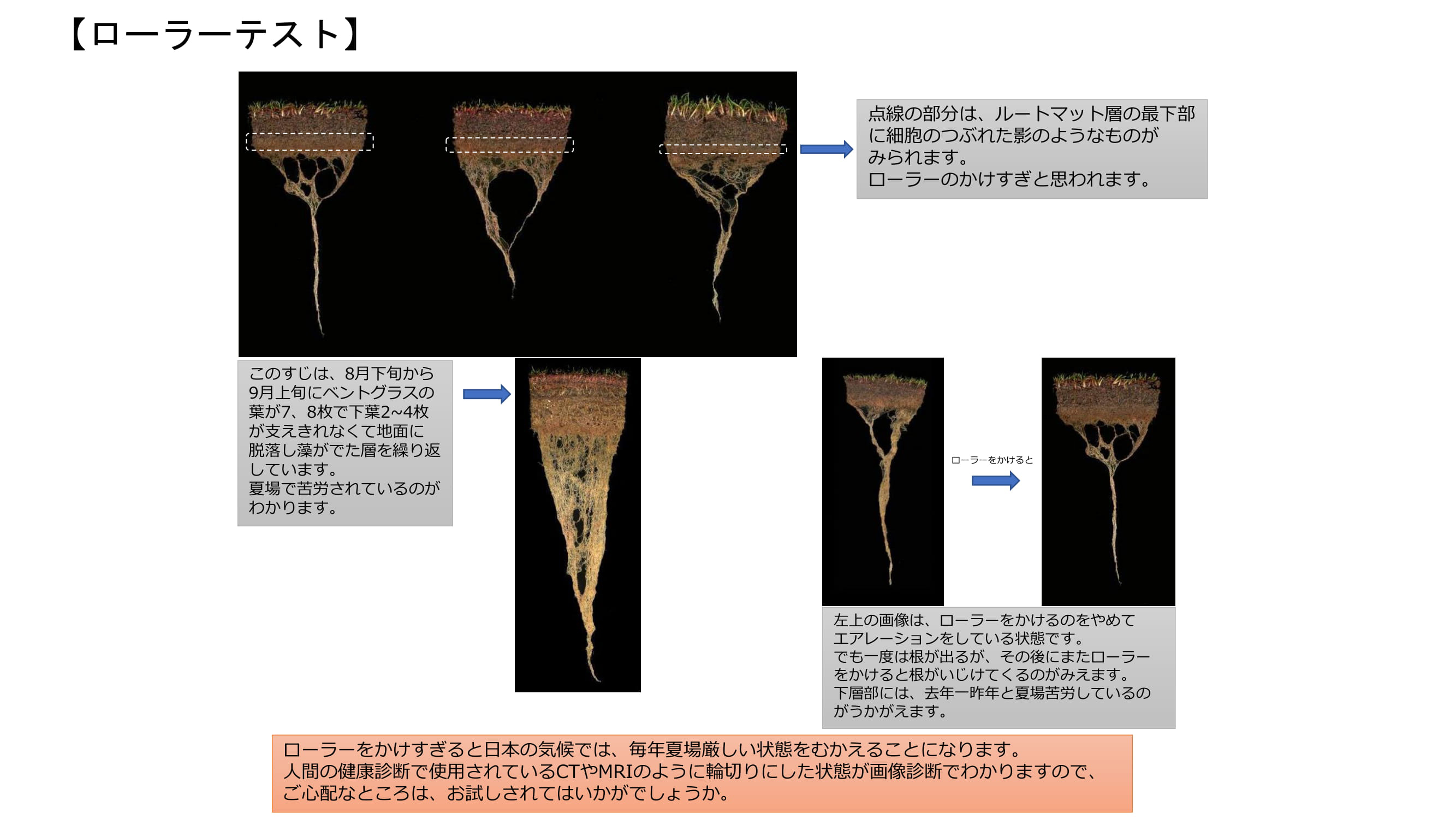 画像解析